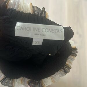 Caroline constas dress